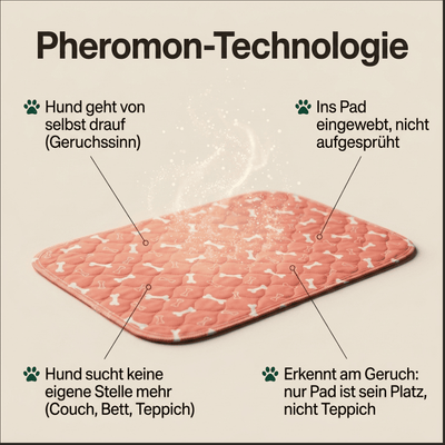 DryPad - Die Matte die Hunde natürlich anzieht