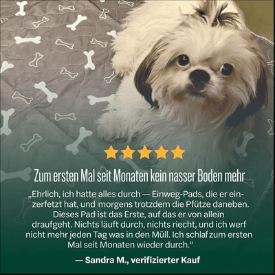 DryPad - Die Matte die Hunde natürlich anzieht