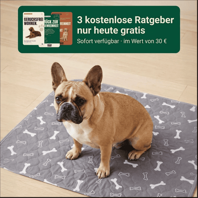 DryPad - Die Matte die Hunde natürlich anzieht