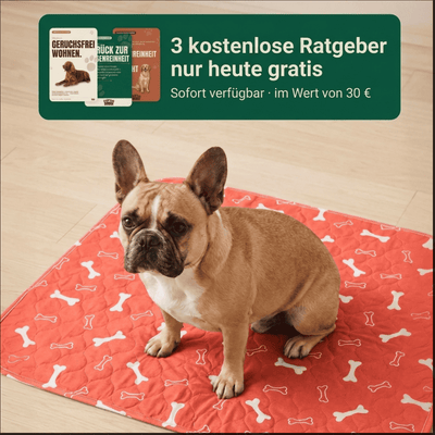 DryPad - Die Matte die Hunde natürlich anzieht