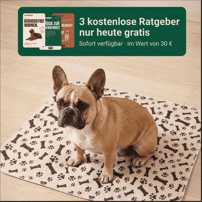 DryPad - Die Matte die Hunde natürlich anzieht