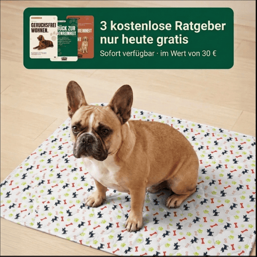 DryPad - Die Matte die Hunde natürlich anzieht