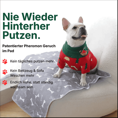 DryPad - Die Matte die Hunde natürlich anzieht