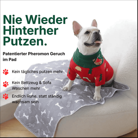 DryPad - Die Matte die Hunde natürlich anzieht