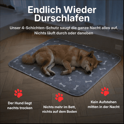 DryPad - Die Matte die Hunde natürlich anzieht