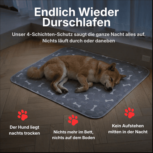 DryPad - Die Matte die Hunde natürlich anzieht