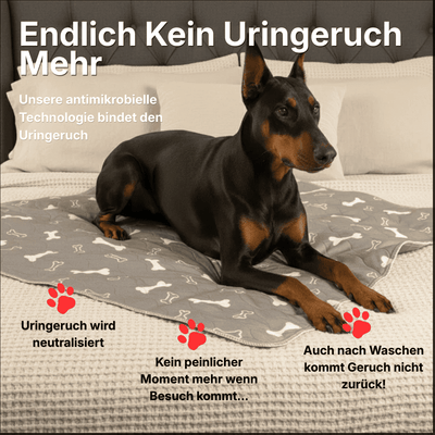 DryPad - Die Matte die Hunde natürlich anzieht