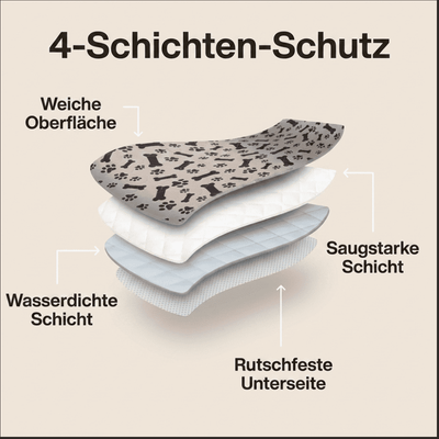 DryPad - Die Matte die Hunde natürlich anzieht